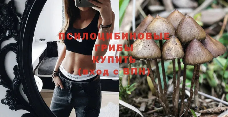 Псилоцибиновые грибы Psilocybine cubensis  мега ссылка  Шатура 